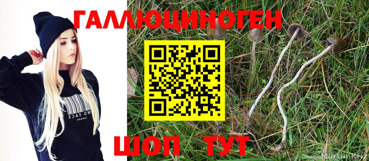 Псилоцибиновые грибы Magic Shrooms  Вход с VPN  Гусь-Хрустальный  Галлюциногенные грибы мухоморы 