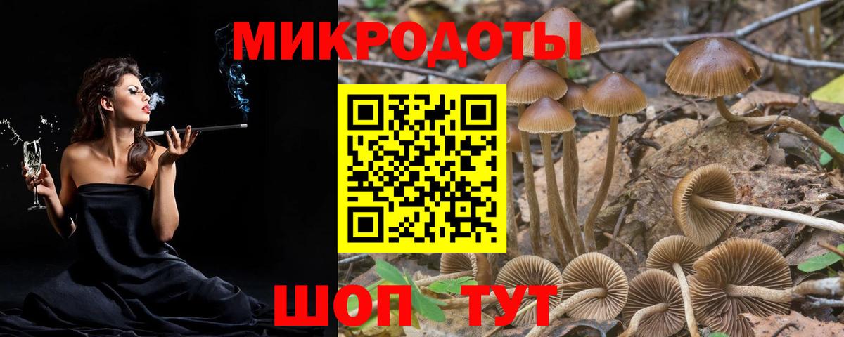 Псилоцибиновые грибы Psilocybe Гусь-Хрустальный